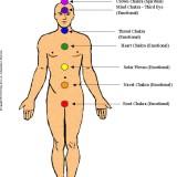 7chakras